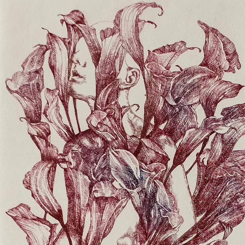 Pana di Marco Mazzoni — stampa d'artista acquaforte in edizione limitata, collezionabile (Satellite Press / Corpoceleste Bergamo)